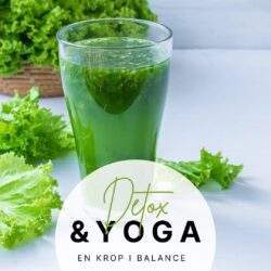 detox og yoga